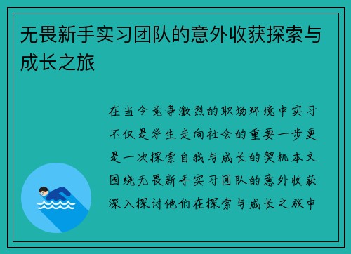 无畏新手实习团队的意外收获探索与成长之旅