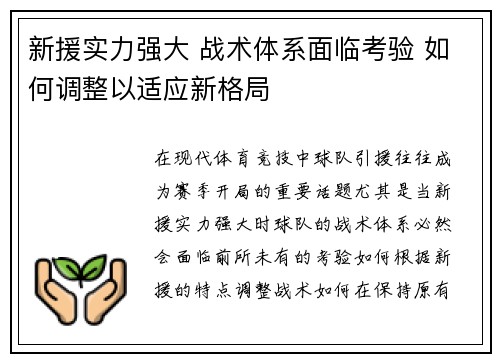 新援实力强大 战术体系面临考验 如何调整以适应新格局